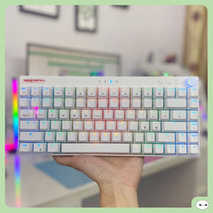 READSON Keyboard WL84 Wireless RGB Mechanical Keyboard