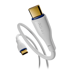 R-2005 – Type C to Type C