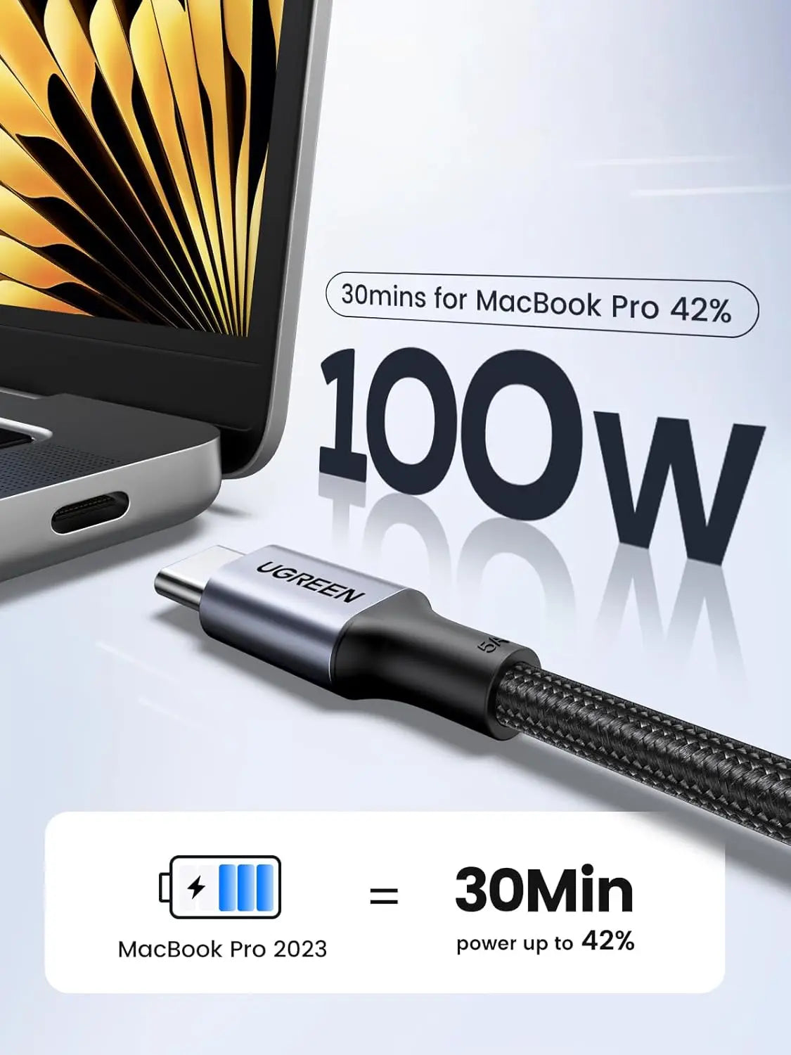 UGREEN Cable 3M Fast 100W PD Ctoc 90120