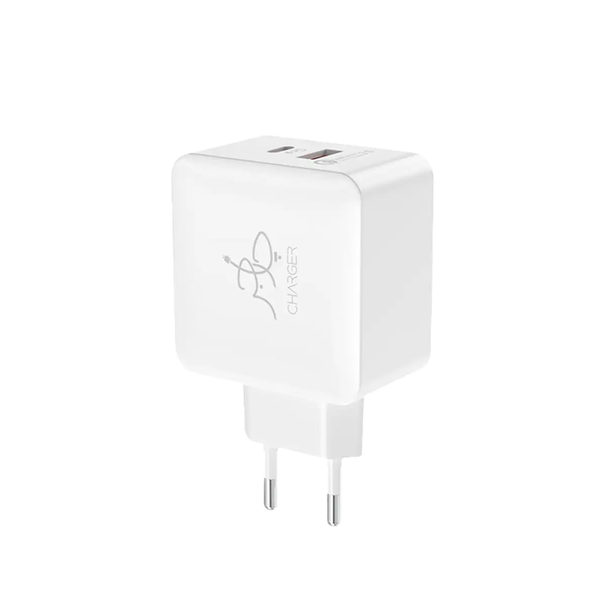 Blaze 25W PD Charger - With USB-C to USB-C Cable