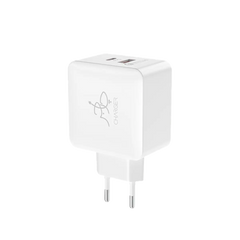 Blaze 25W PD Charger - With USB-C to USB-C Cable