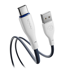 R-2025 Type-C Cable